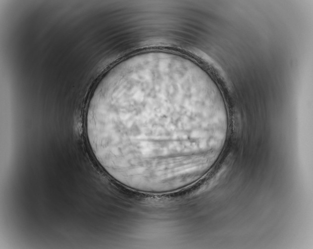 X0000091580929200709171113