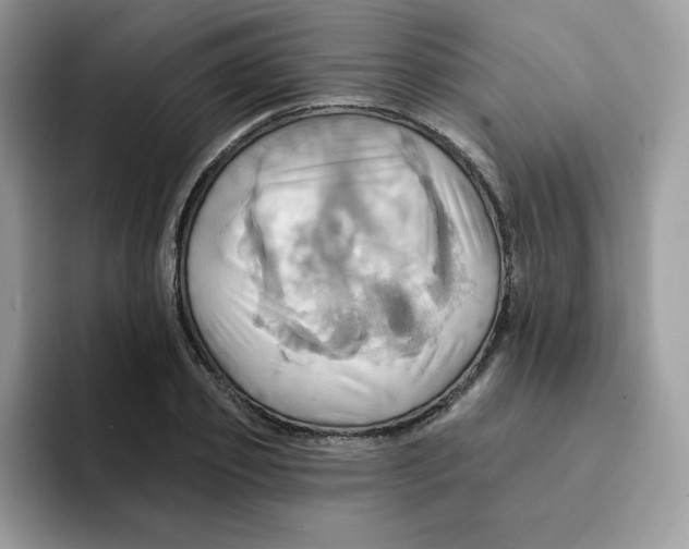 X0000091580933200709171113