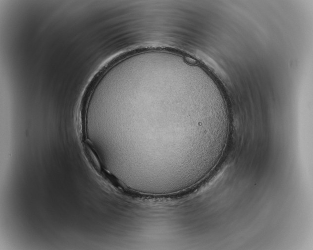 X0000091580934200709171113