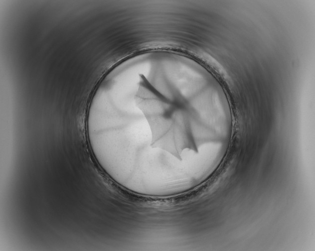 X0000091580937200709171113