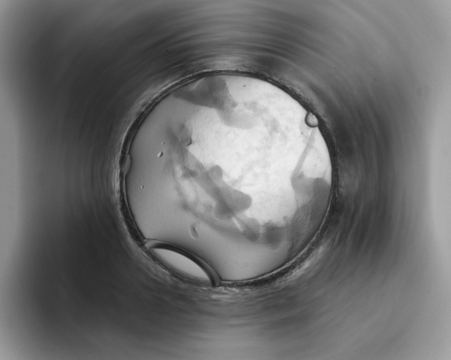 X0000091580938200709171113