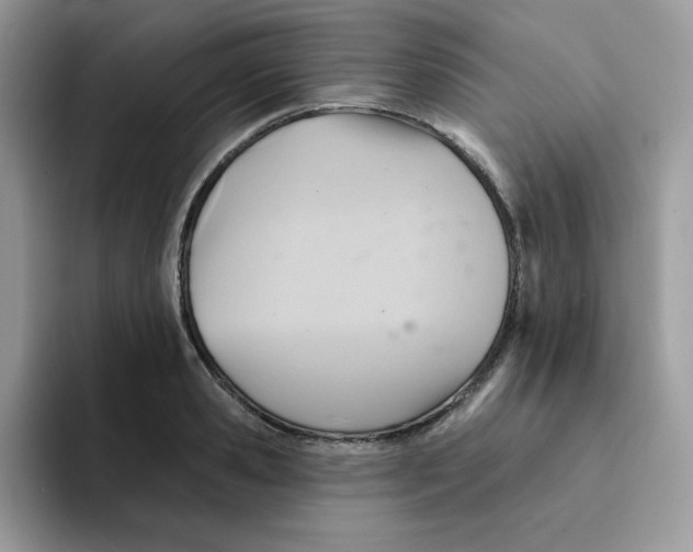 X0000091580941200709171113