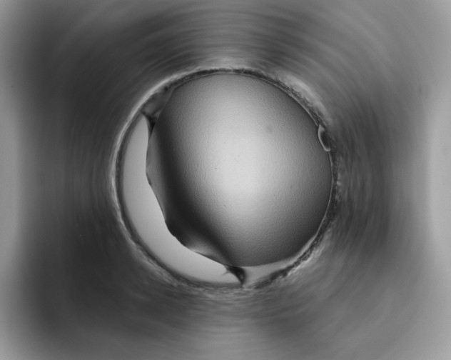 X0000091580942200709171113