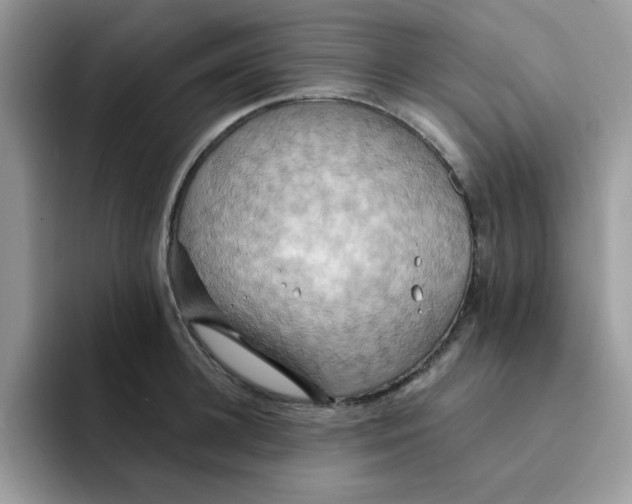 X0000091580948200709171113