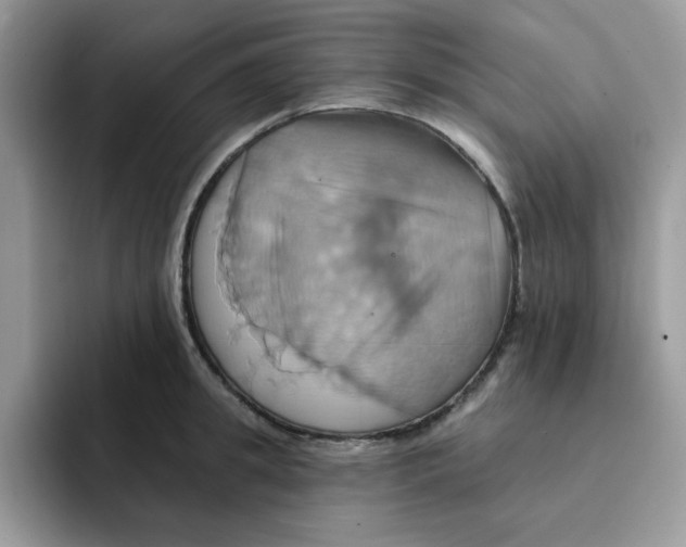 X0000091580949200709171113