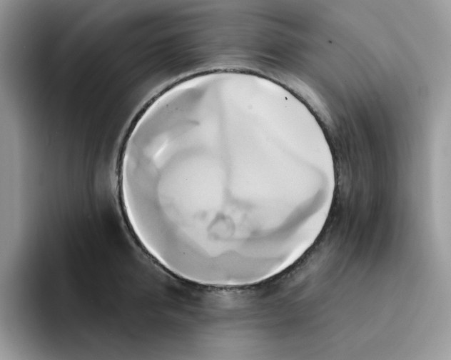 X0000091580950200709171113