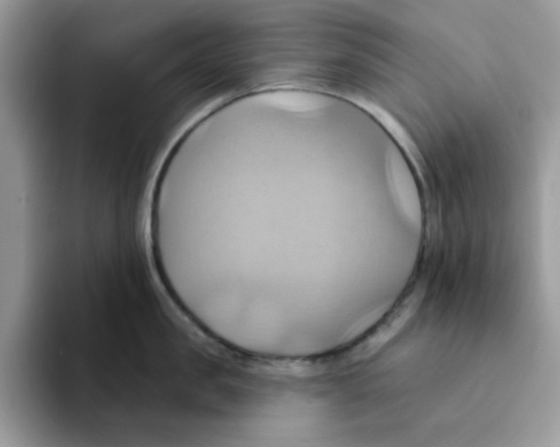 X0000091580957200709171113