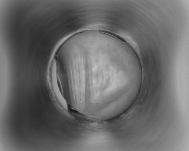X0000091580960200709171113