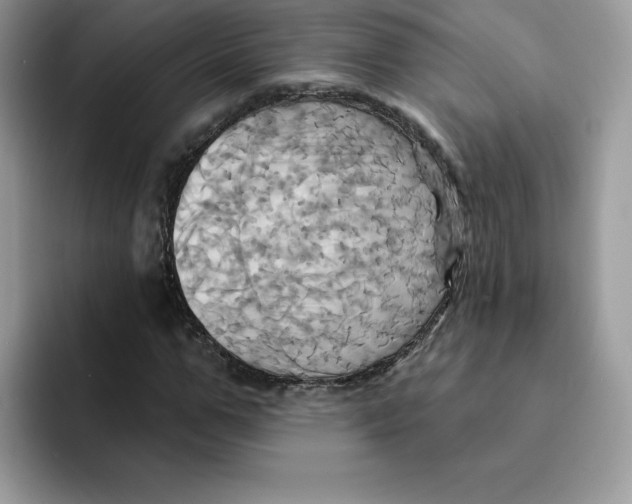 X0000091580967200709171113