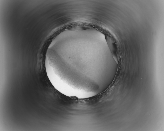 X0000091580968200709171113