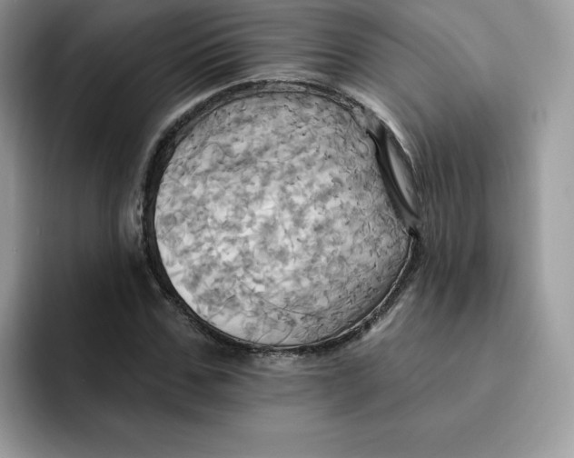 X0000091580971200709171113