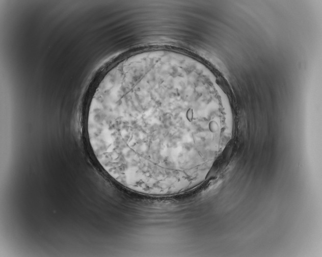 X0000091580979200709171112