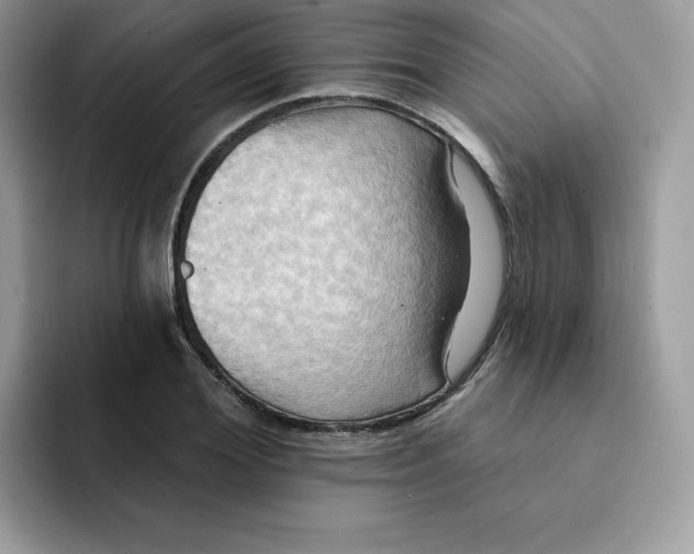 X0000091580980200709171112