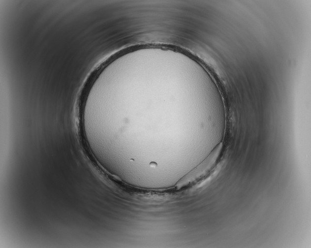 X0000091580981200709171112