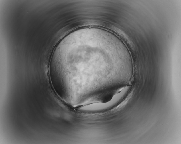 X0000091580985200709171112