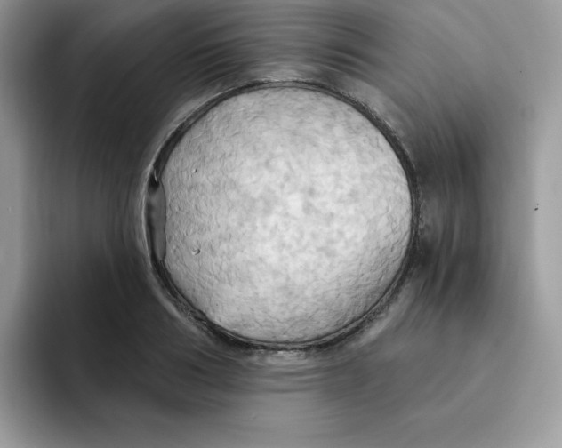 X0000091580986200709171112