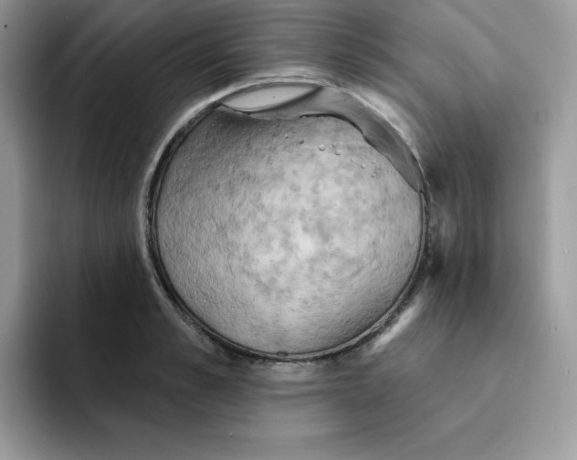X0000091580989200709171112