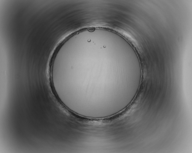 X0000091580990200709171112