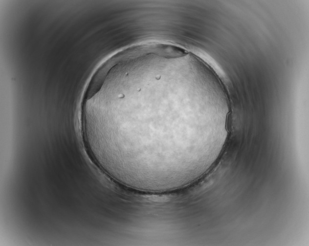 X0000091580996200709171112