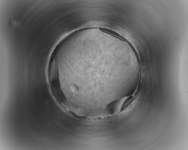 X0000091580997200709171112