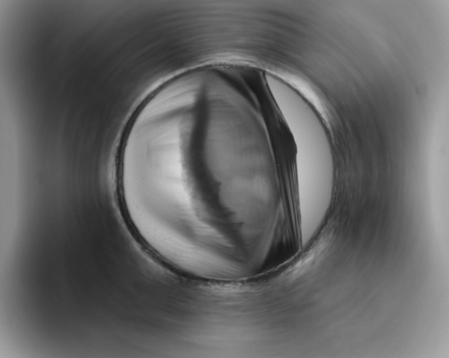 X0000091580999200709171112