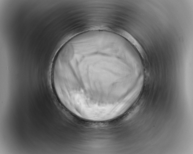 X0000091581002200709171112