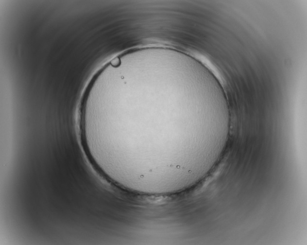 X0000091581003200709171112