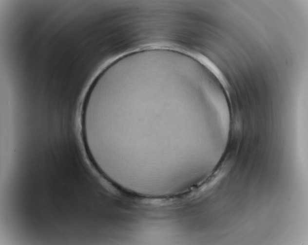 X0000091581005200709171112