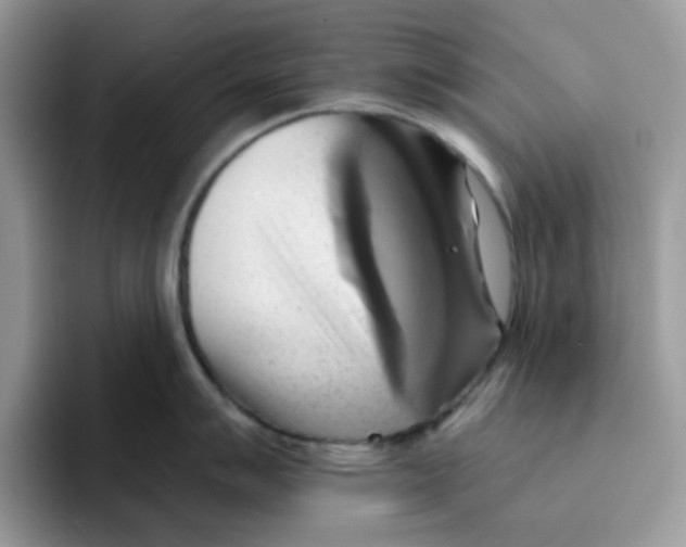 X0000091581007200709171112
