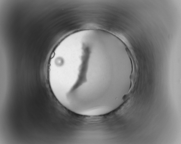 X0000091581008200709171112