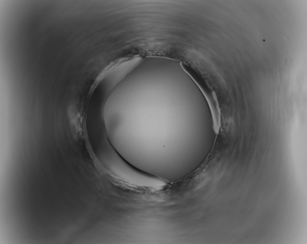X0000091581010200709171112