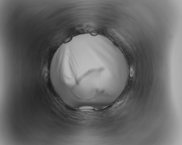 X0000091581011200709171112