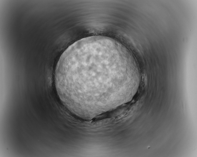 X0000091581012200709171112