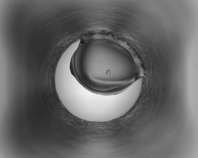 X0000091581014200709171112
