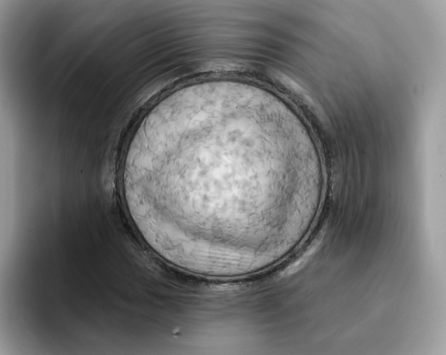 X0000091581017200709171112