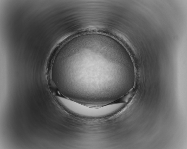 X0000091581018200709171112