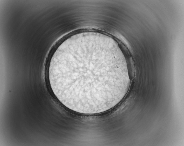 X0000091581020200709171112
