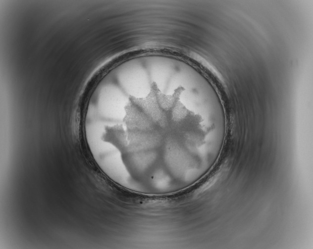 X0000091581021200709171112