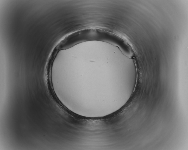 X0000091581024200709171112