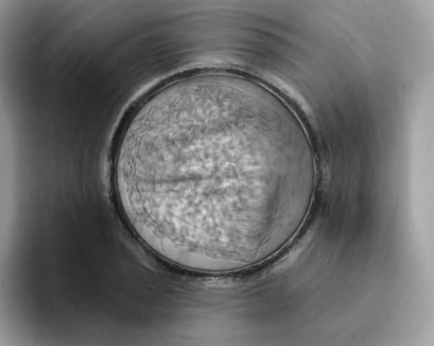 X0000091581029200709171112