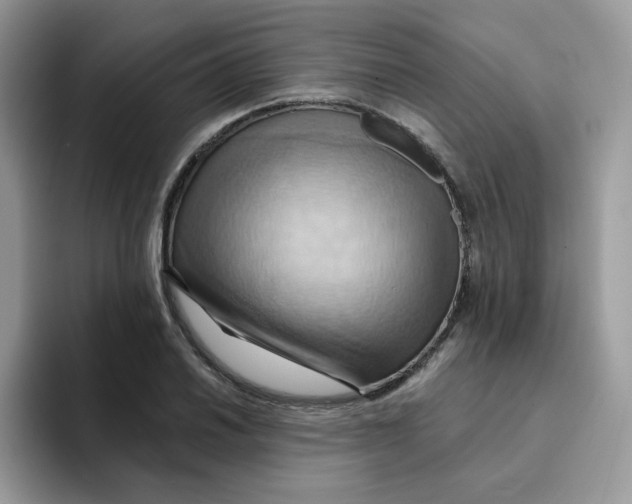 X0000091581030200709171112
