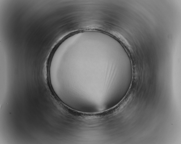 X0000091581031200709171112