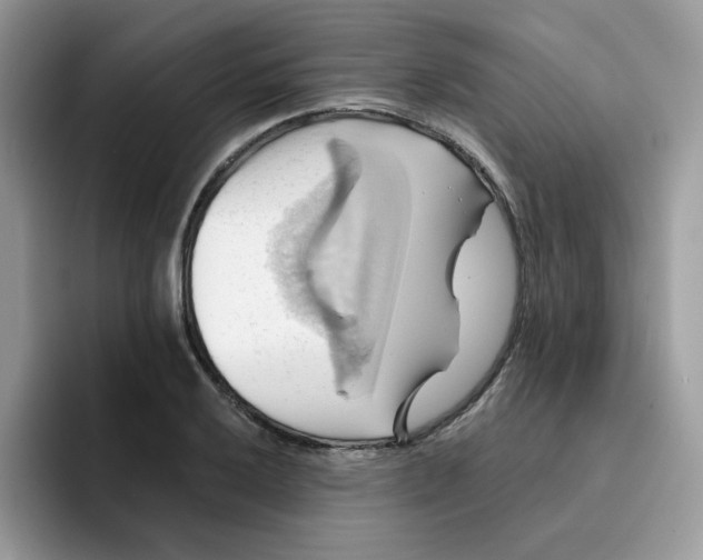 X0000091581032200709171112