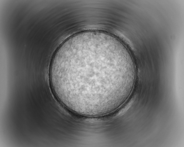 X0000091581033200709171112