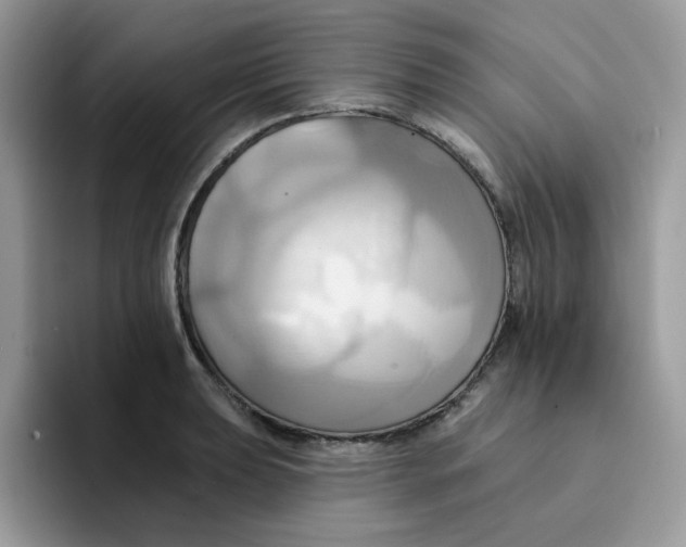 X0000091581039200709171112