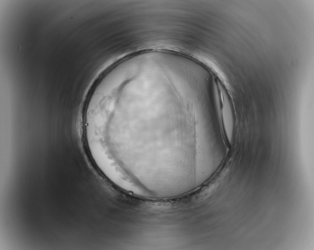 X0000091581040200709171112