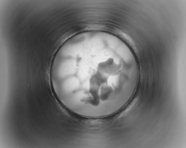 X0000091581041200709171112