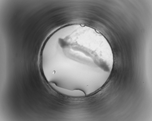 X0000091581044200709171112