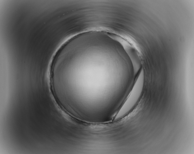 X0000091581046200709171112