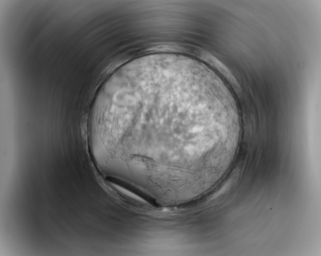 X0000091581049200709171112